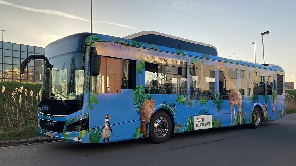 Bestickering pendelbus wrapfolie Zoo Planckendael AMS Antwerpen